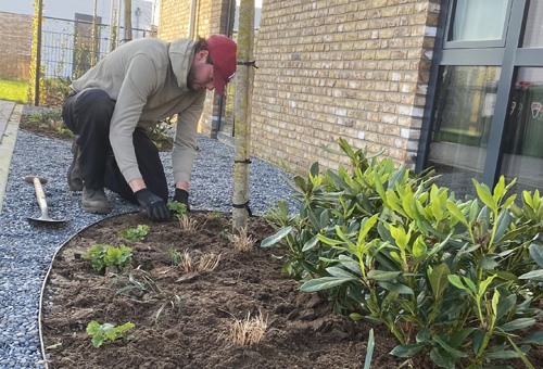 Tuinbegeleiding Oisterwijk
